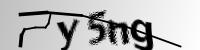 验证码